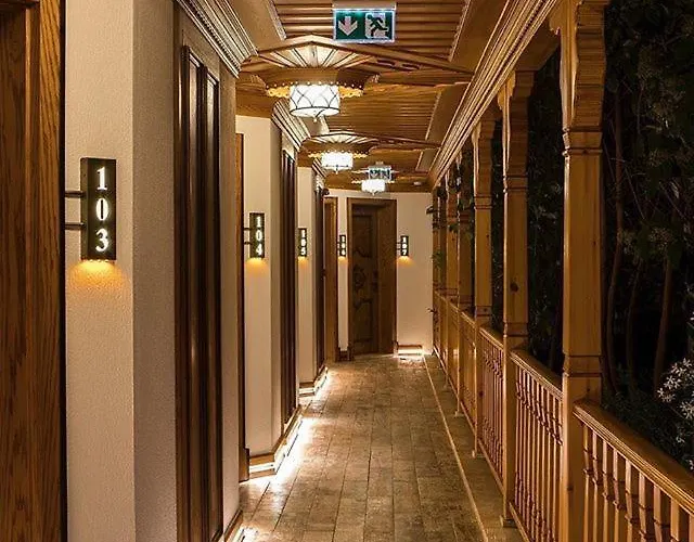 Goektuerk Hotel *